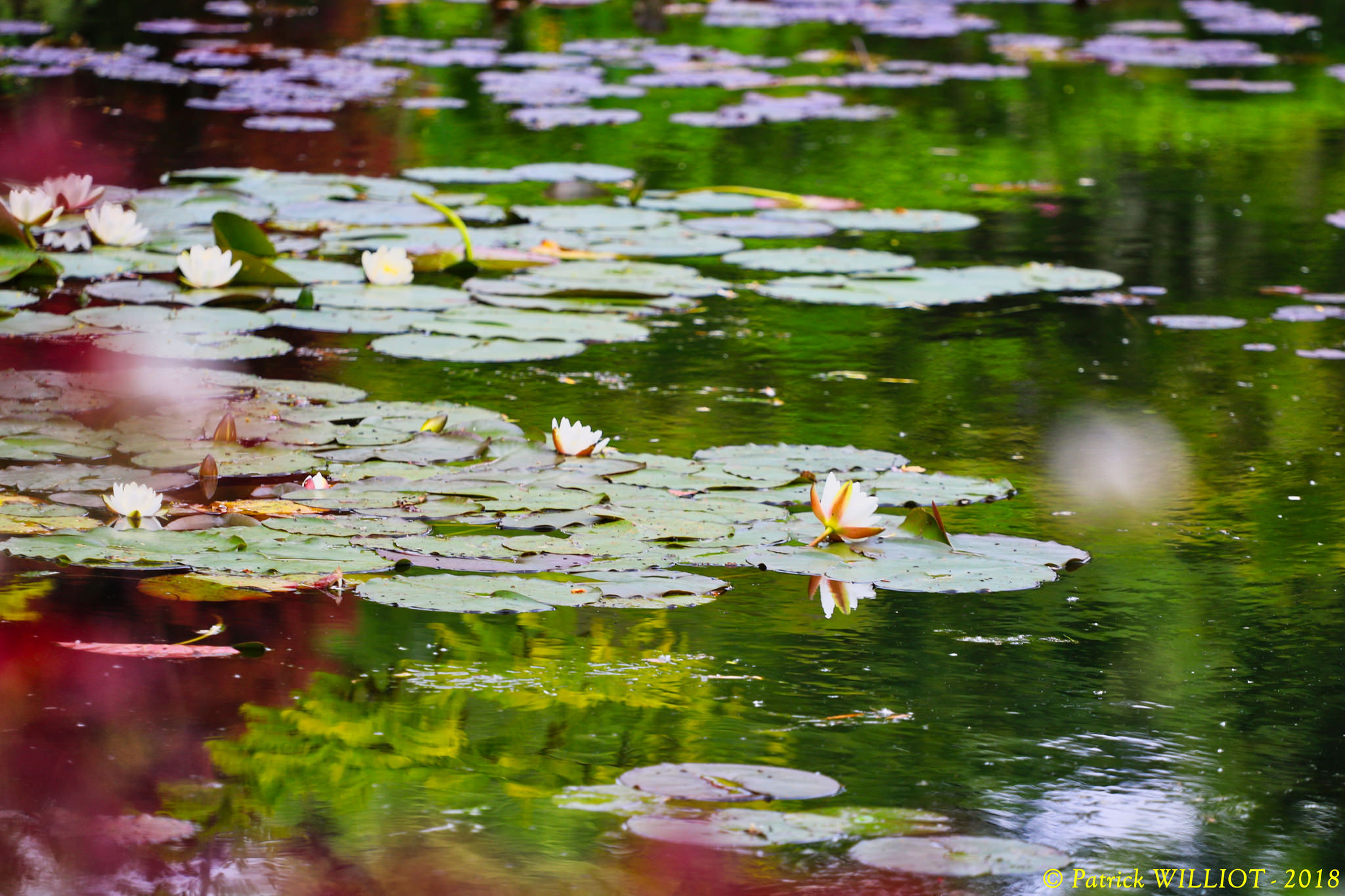 Giverny